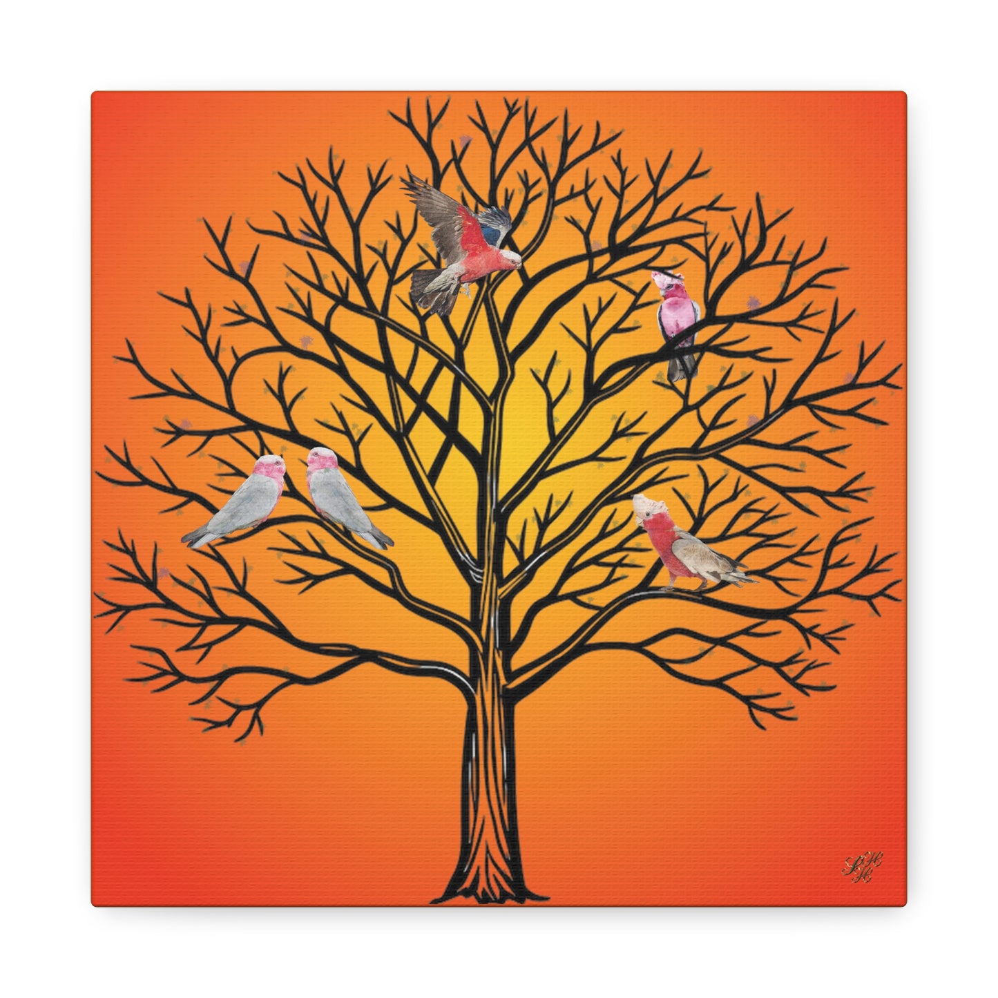 Canvas Art - Australian Pink and Gray Cockatoo under the setting sun