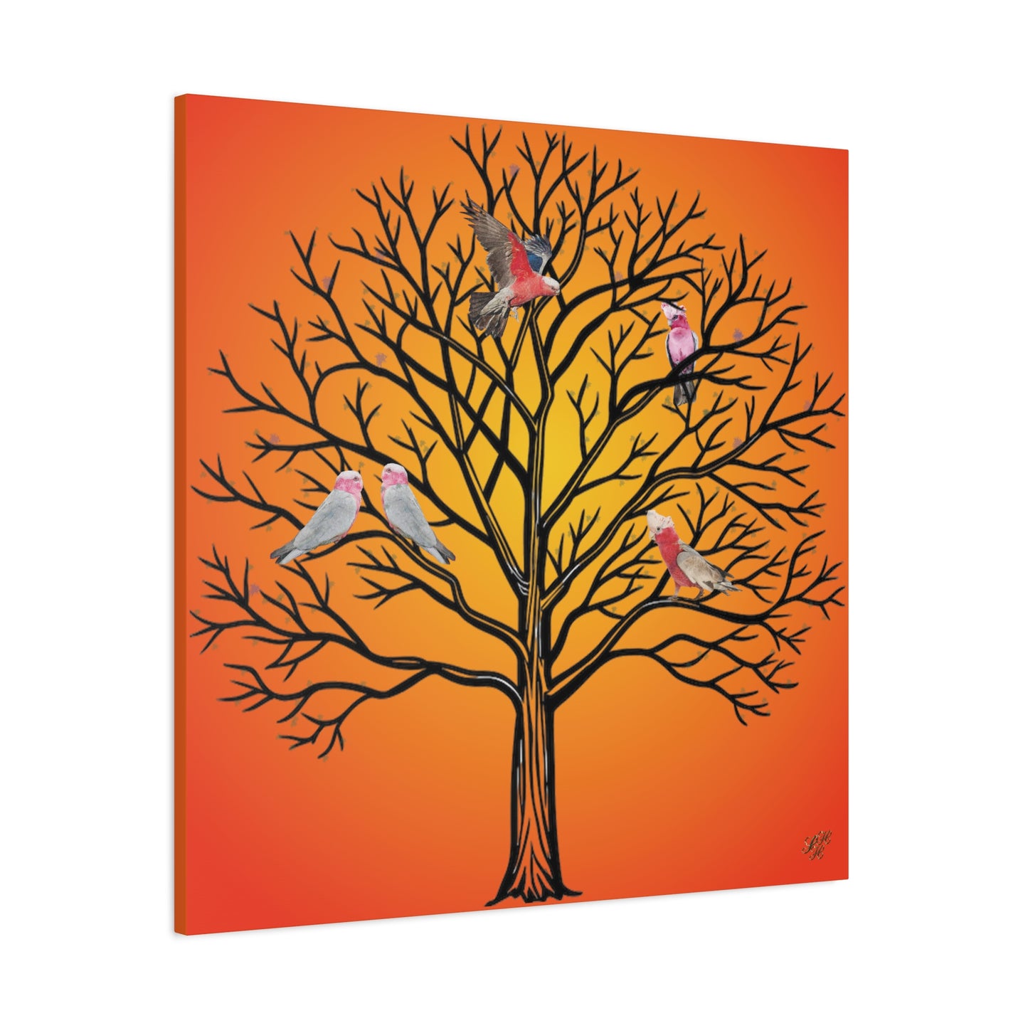 Canvas Art - Australian Pink and Gray Cockatoo under the setting sun