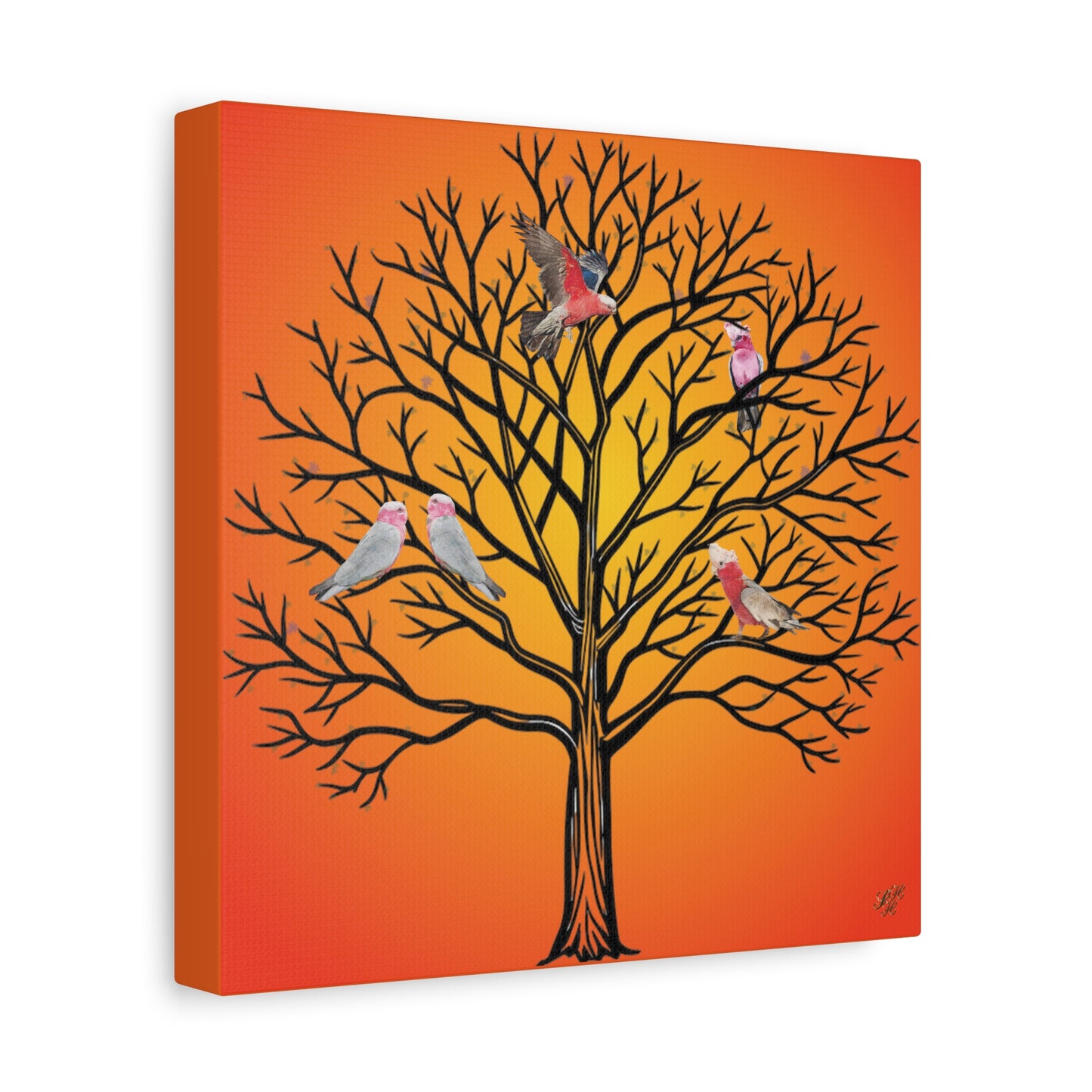 Canvas Art - Australian Pink and Gray Cockatoo under the setting sun