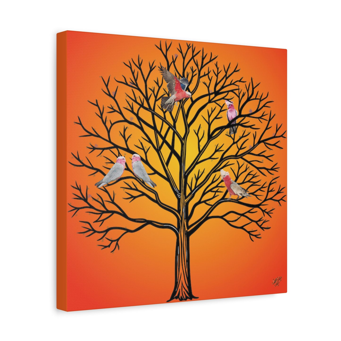 Canvas Art - Australian Pink and Gray Cockatoo under the setting sun