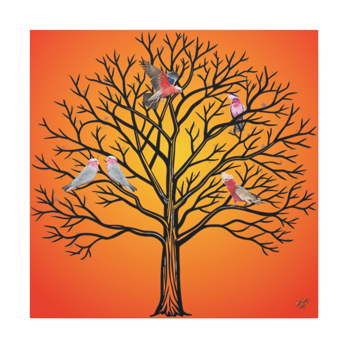 Canvas Art - Australian Pink and Gray Cockatoo under the setting sun