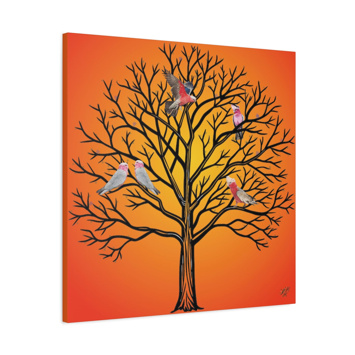 Canvas Art - Australian Pink and Gray Cockatoo under the setting sun