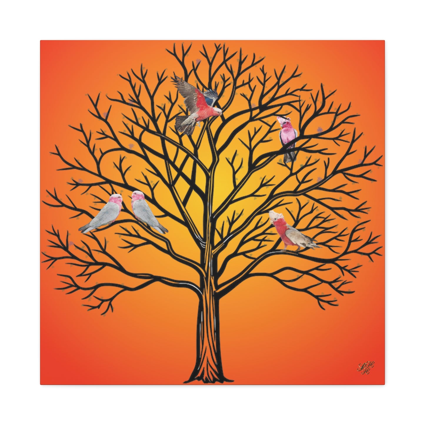 Canvas Art - Australian Pink and Gray Cockatoo under the setting sun